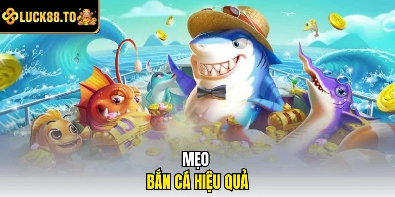 Mẹo bắn trúng cá hiệu quả