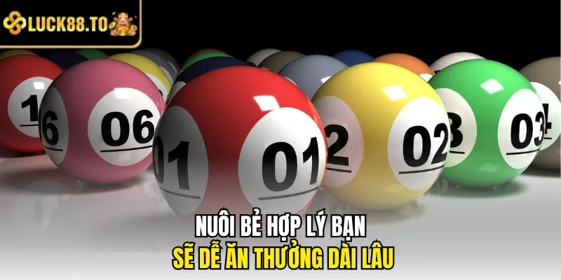 Nuôi bẻ hợp lý bạn sẽ dễ ăn thưởng dài lâu